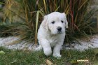 IMG_2576.JPG