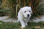 IMG_2577.JPG