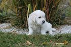IMG_2581.JPG