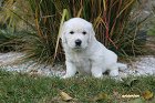 IMG_2588.JPG