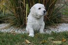 IMG_2593.JPG