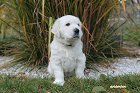 IMG_2597.JPG