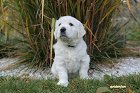 IMG_2601.JPG