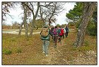 Coulet St Joseph -3- (Copier).JPG
