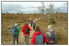 Coulet St Joseph -7- (Copier).JPG