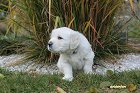 IMG_2607.JPG