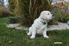 IMG_2379.JPG