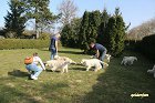 IMG_3490.JPG