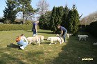 IMG_3491.JPG