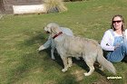 IMG_3492.JPG