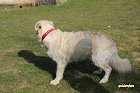 IMG_3495.JPG