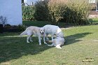 IMG_3506.JPG