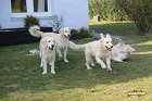 IMG_3512.JPG