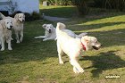 IMG_3515.JPG