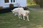 IMG_3524.JPG